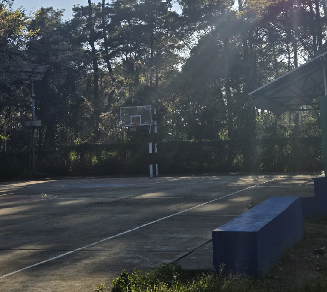 NEHU Sports and Ground photo 4